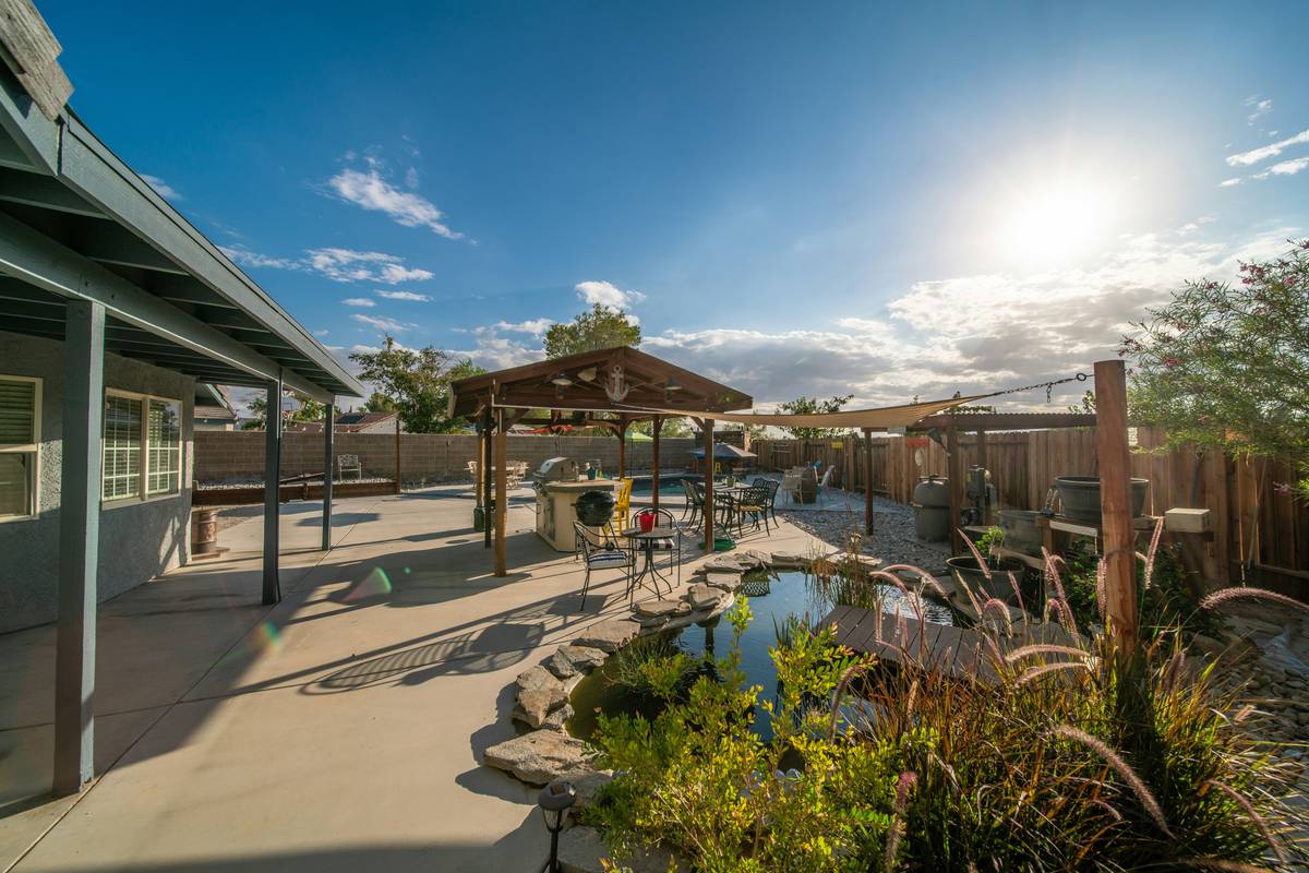 garden pond designs ideas That Actually Work in Real Backyards