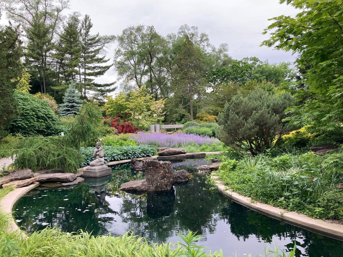 Small backyard pond ideas for yard with koi and aquatic plants