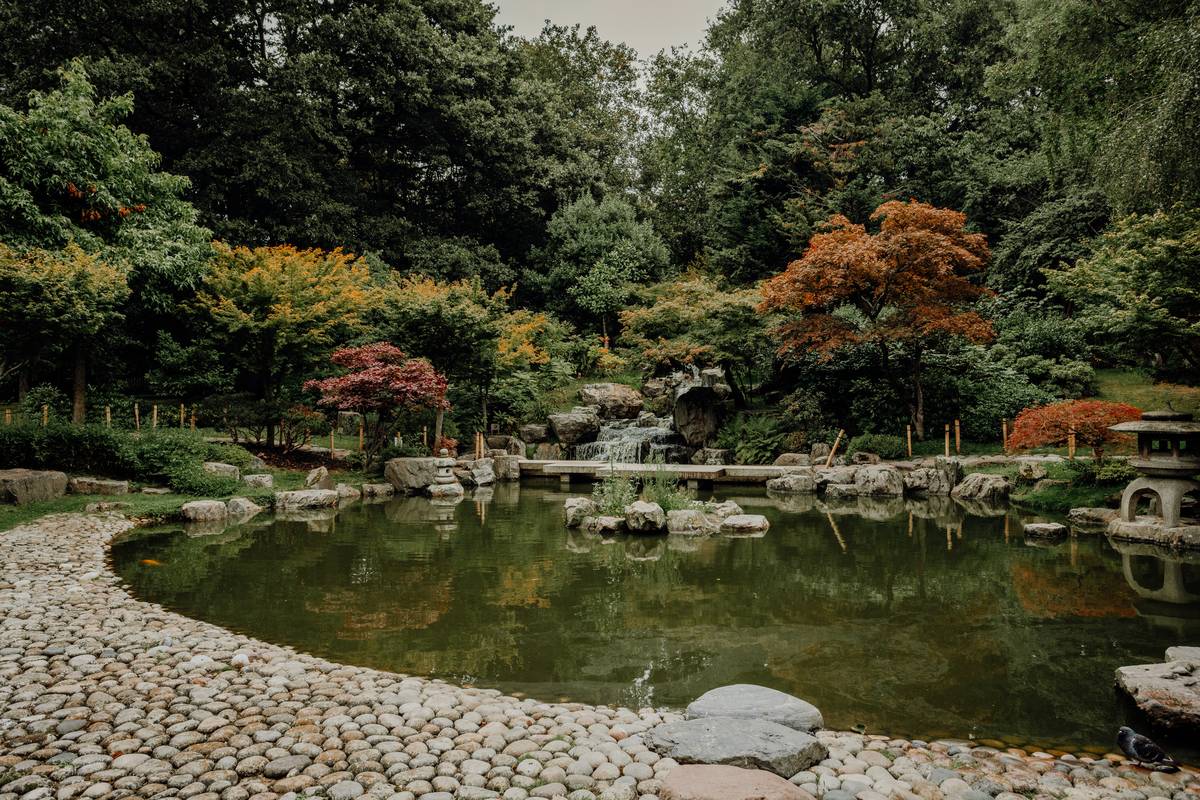 Naturalistic garden pond designs ideas with marginal plants and stone edging