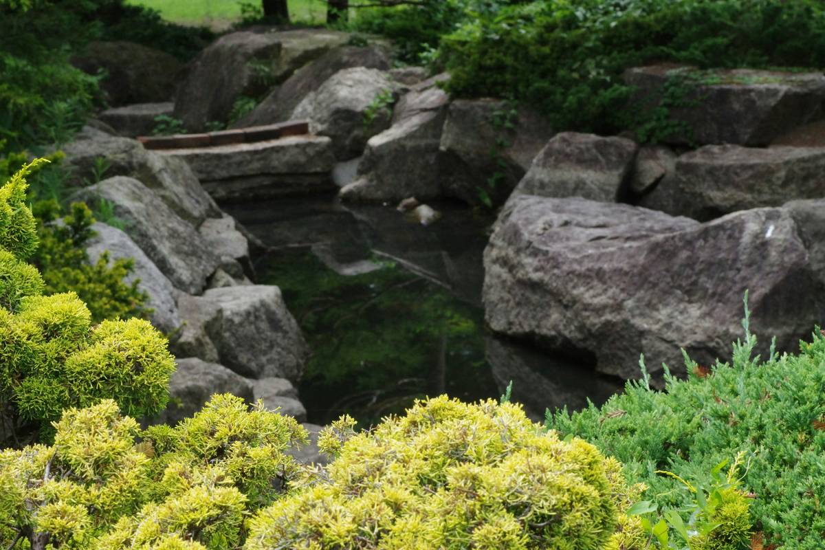 Landscaping Around Pond Ideas That Actually Work Year After Year