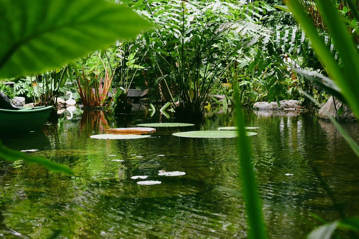 Natural stone pond ideas for yard with waterfall feature
