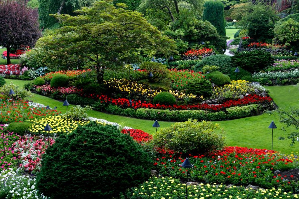 small garden pond design ideas