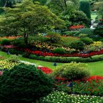small garden pond design ideas
