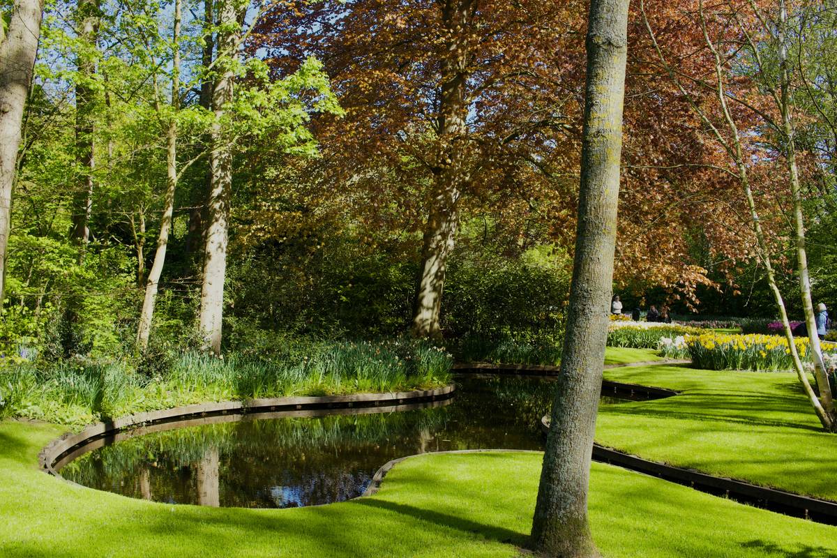 Small Pond Garden Ideas That Actually Work