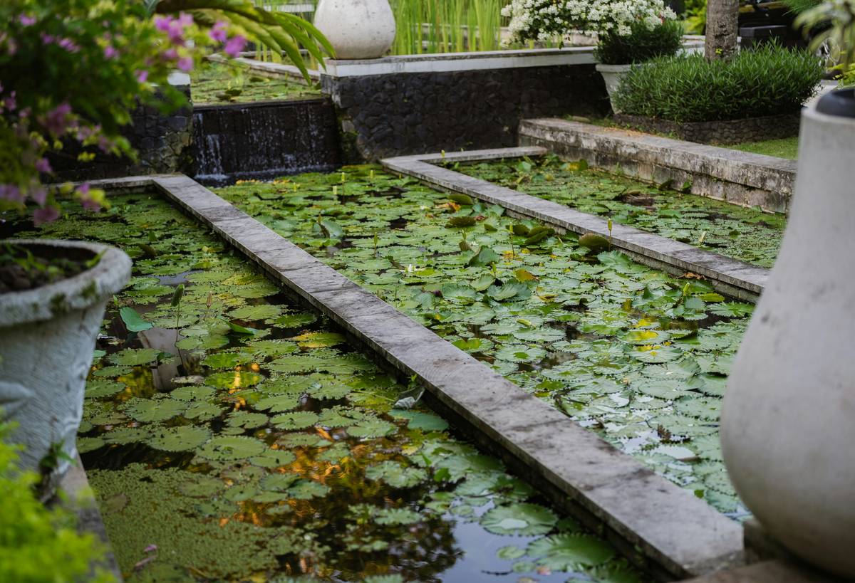 small pond garden ideas using repurposed containers in urban backyard