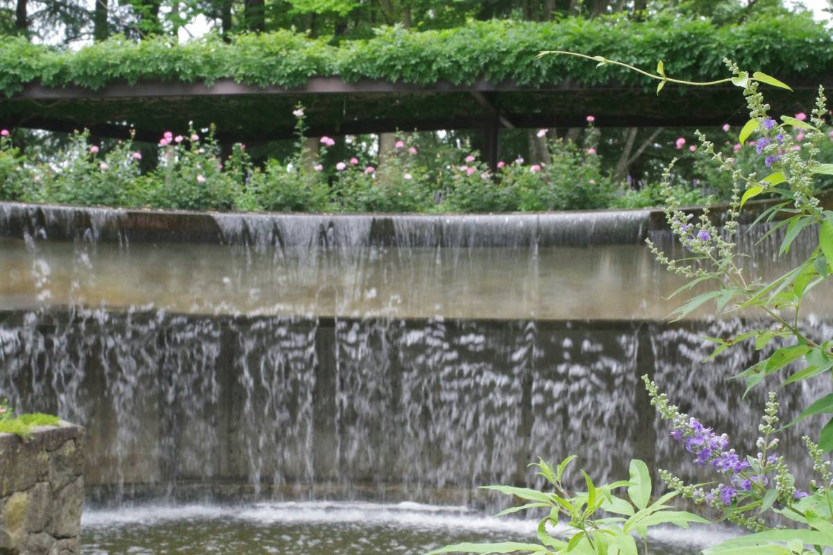 Natural stone edging with layered planting for landscaping around pond ideas