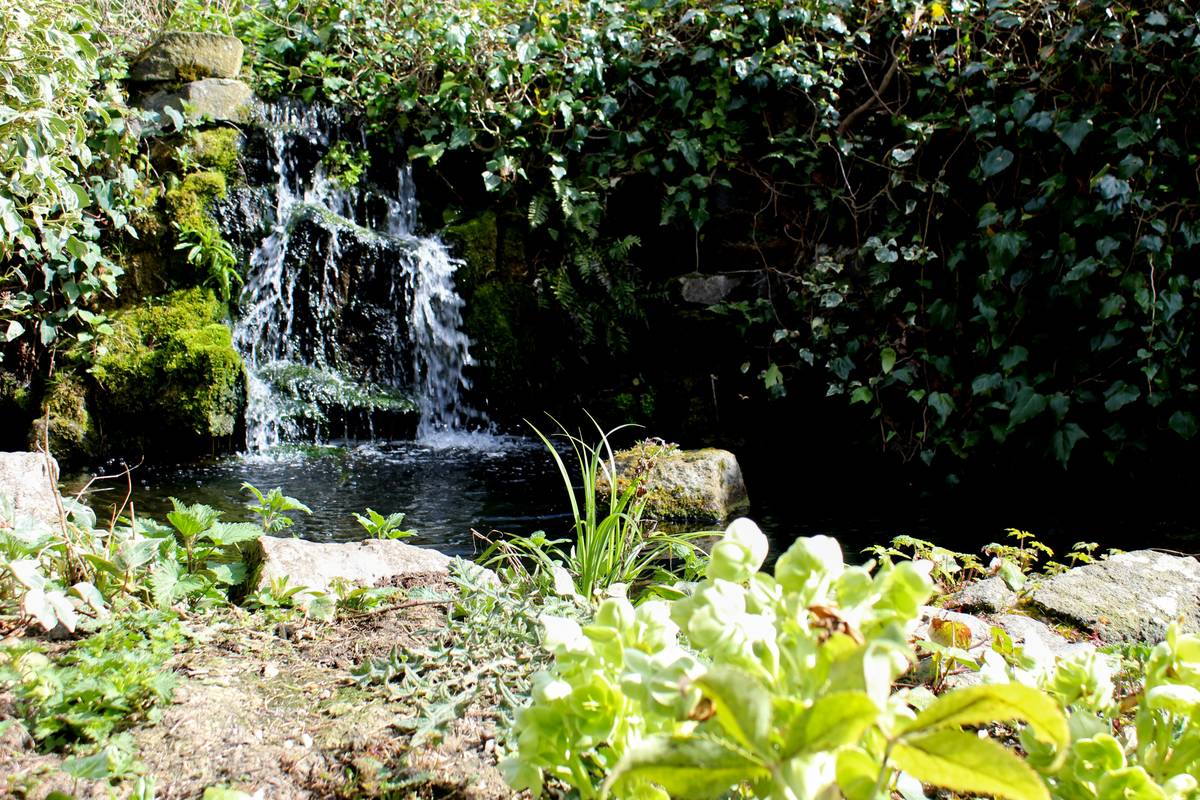 Multi-zone planting design showing effective landscaping around pond ideas