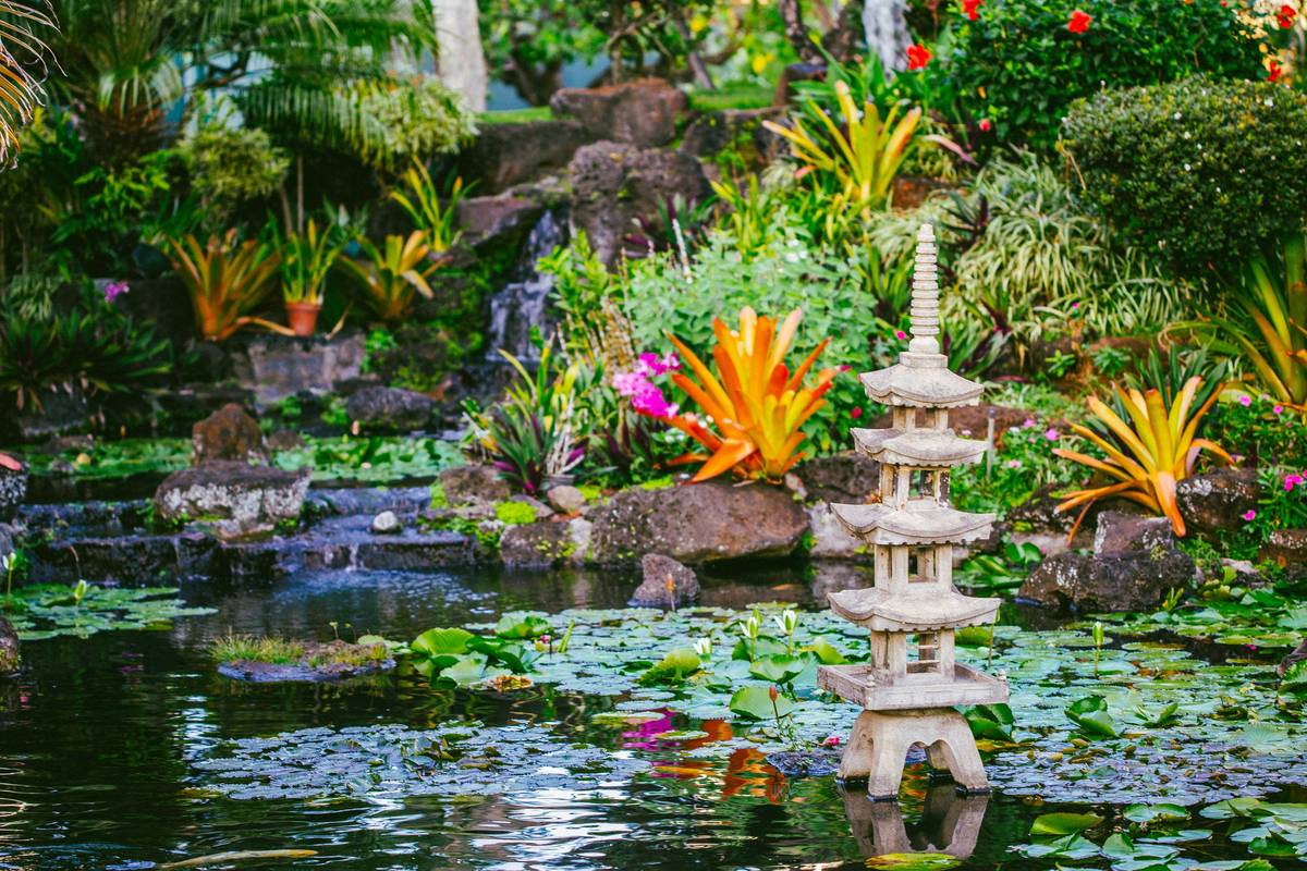 Benefits of Having a Pond: Why Your Backyard Needs One Now