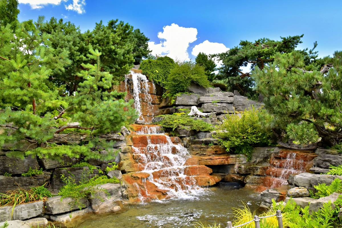 how to make a garden pond with layered liner and aquatic plants