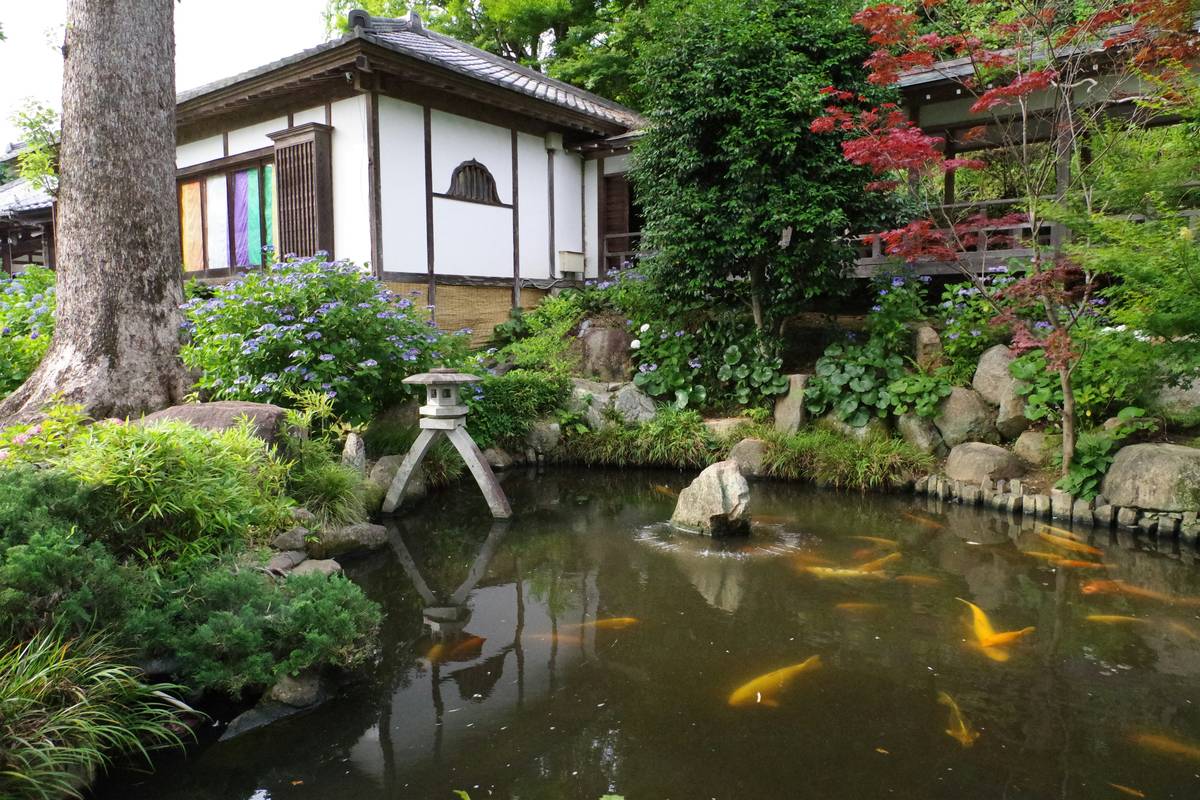 How to Make a Garden Pond: 7 Proven Steps to Avoid Costly Mistakes
