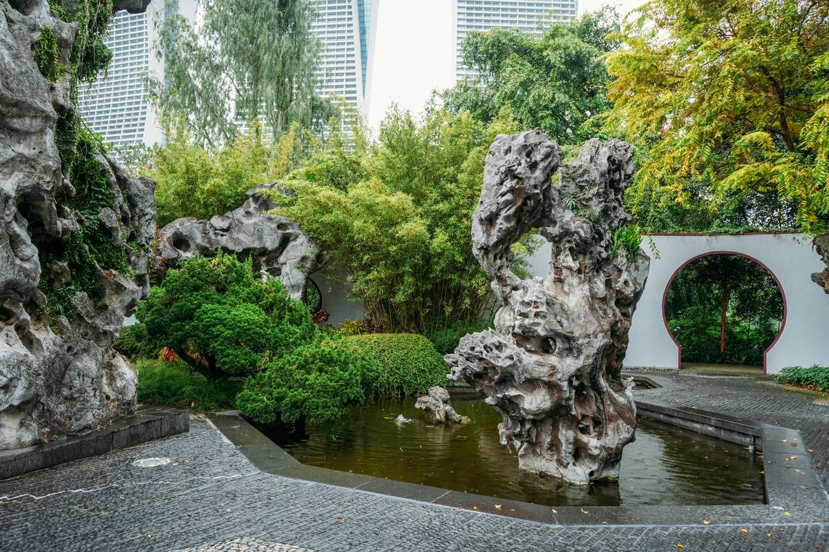 Pond Ideas for Backyard: 7 Proven Ways to Avoid Costly Mistakes