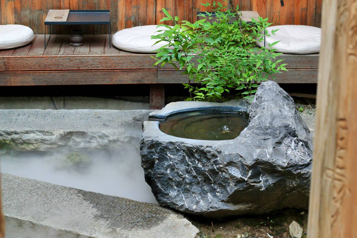 benefits of having a pond shown through a serene backyard oasis with koi and aquatic plants
