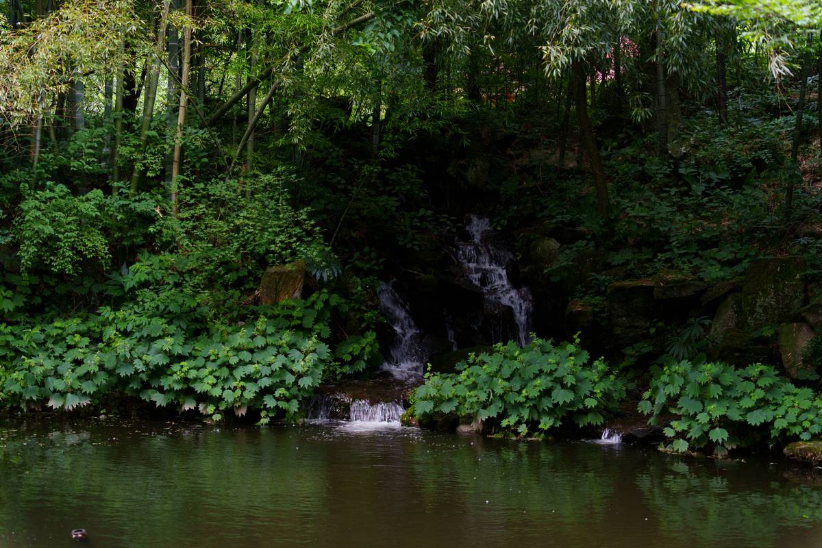 outdoor design garden pond how to: step-by-step backyard pond installation with liner, rocks, and aquatic plants