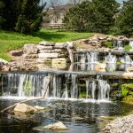Building a Garden Pond: 7 Proven Tips to Avoid Costly Mistakes
