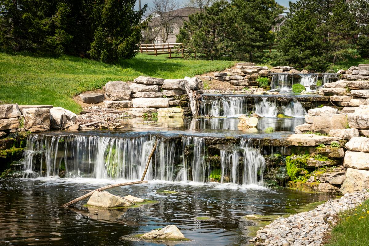 Building a Garden Pond: 7 Proven Tips to Avoid Costly Mistakes
