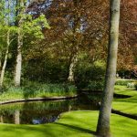 Garden Pond Ideas for Small Gardens: 7 Proven Tips to Avoid Costly Mistakes