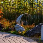 Outdoor Design Garden Pond Creating a: 7 Proven Tips to Avoid Costly Mistakes