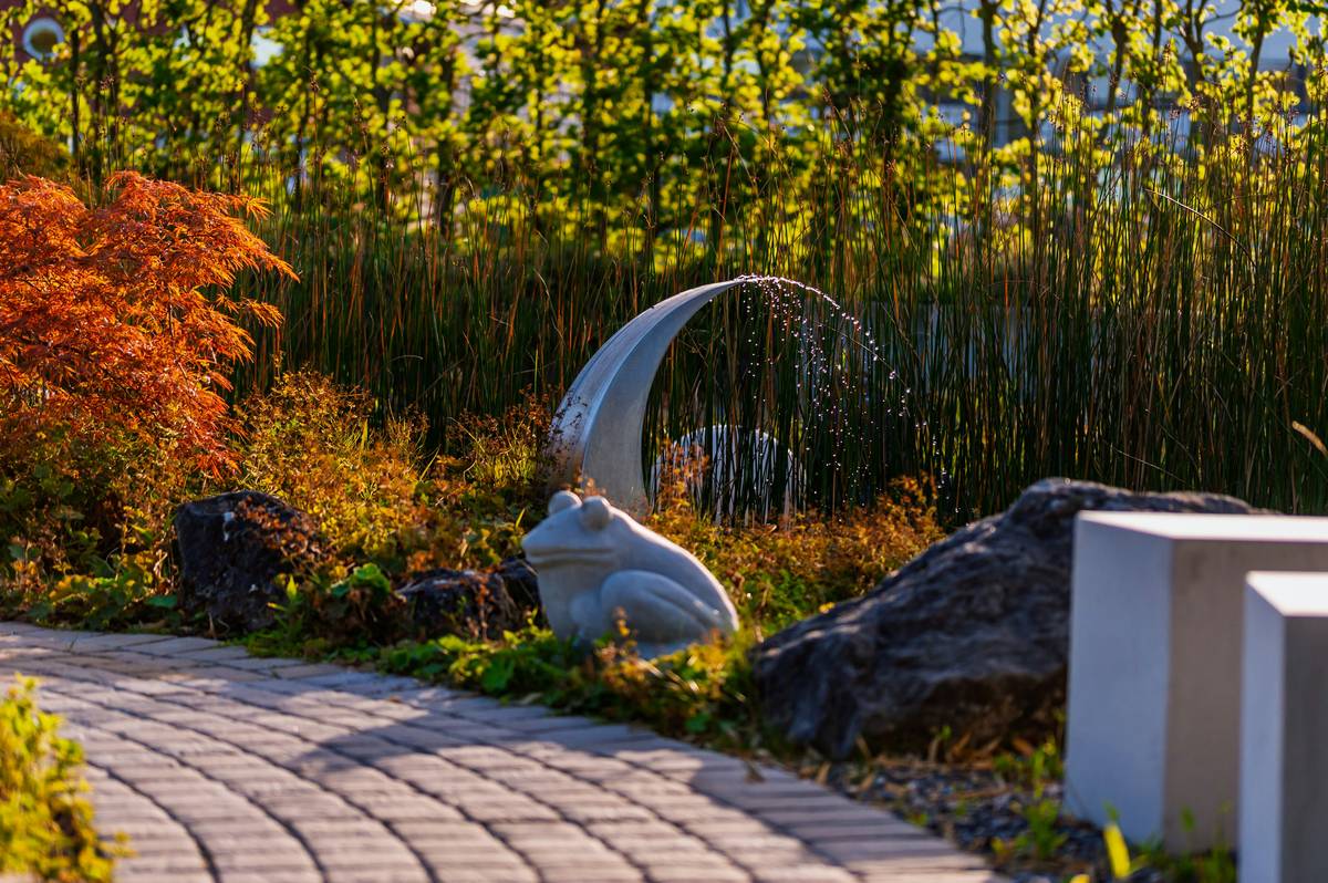 Outdoor Design Garden Pond Creating a: 7 Proven Tips to Avoid Costly Mistakes