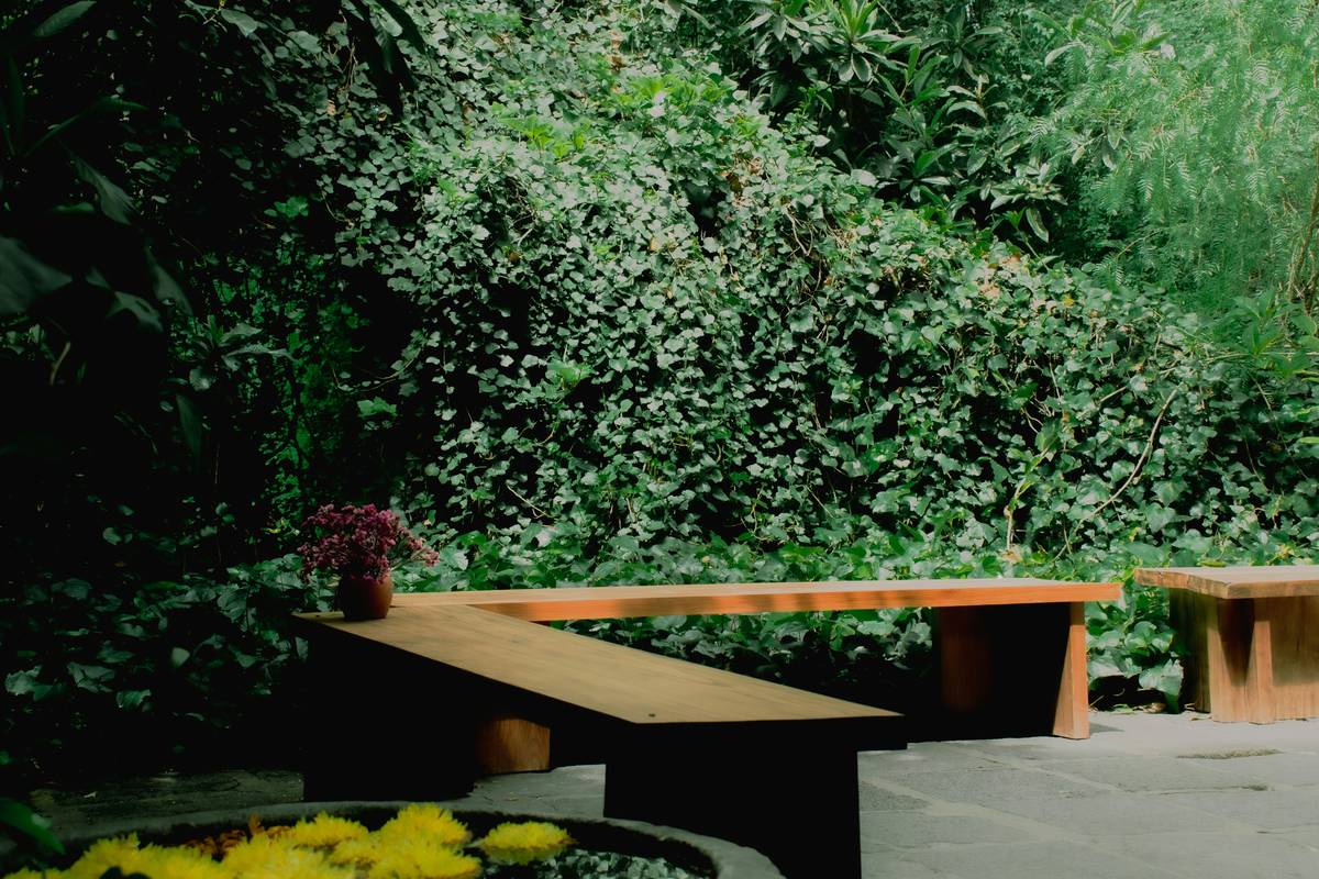 ponds for small gardens designs featuring a compact rectangular pond with marginal plants and a solar-powered fountain